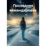 Постер книги Последняя командировка