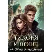 Постер книги Тихоня и Принц на грани отчисления