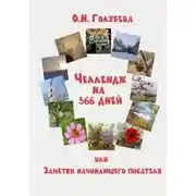 Постер книги Челлендж на 366 дней, или Заметки начинающего писателя