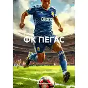 Постер книги ФК ПЕГАС
