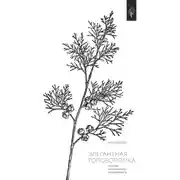 Постер книги Элегантная головоломка. Системы инженерного менеджмента