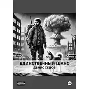 Постер книги Единственный шанс