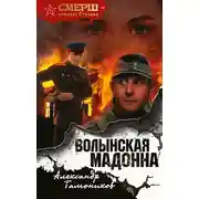 Постер книги Волынская мадонна