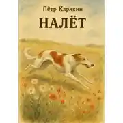 Постер книги Налёт