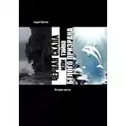 Постер книги Чёрная Скала или тайна Белого Странника – история 3