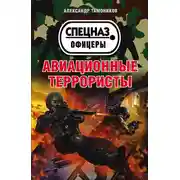 Постер книги Авиационные террористы