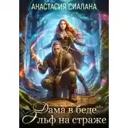 Постер книги Дама в беде, Эльф на страже