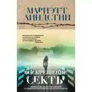 Постер книги Воскрешение секты