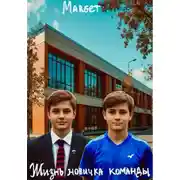 Постер книги Жизнь новичка команды