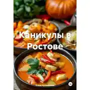 Постер книги Каникулы в Ростове