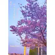 Постер книги Нацукаши