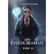 Постер книги Князь шаман. Том 11