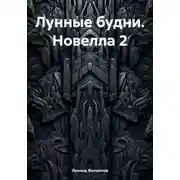 Постер книги Лунные будни. Новелла 2