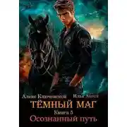 Постер книги Осознанный путь