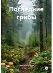 Никита Кулебякин - Последние грибы
