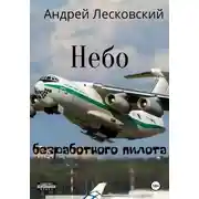 Постер книги Небо безработного пилота