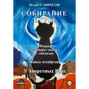 Постер книги Собирание игры. Книга четвёртая. У Запретных Врат