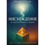 Постер книги Нисхождение. От безграничного к форме