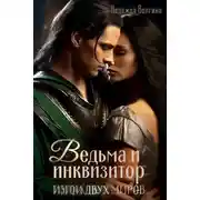 Постер книги Ведьма и инквизитор