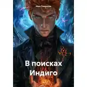 Постер книги В поисках Индиго