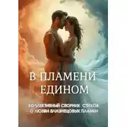 Постер книги В пламени едином