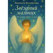 Постер книги Звездный мальчик. Путешествие души