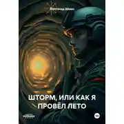 Постер книги ШТОРМ, ИЛИ КАК Я ПРОВЁЛ ЛЕТО