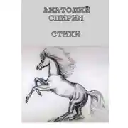 Постер книги Стихи