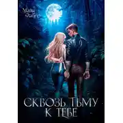 Постер книги Сквозь тьму к тебе