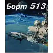 Постер книги Борт 513