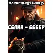 Постер книги Селин — Бебер