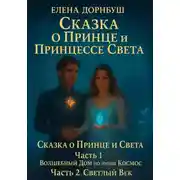 Постер книги Сказка о принце и принцессе света