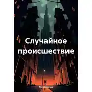 Постер книги Случайное происшествие