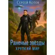 Постер книги Раненые Звёзды – 2: Хрупкий мир