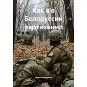 Постер книги Как я в Белоруссии партизанил