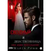 Постер книги Сводный и девственница: они меня уничтожили!
