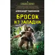 Постер книги Бросок из западни