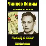Постер книги Назад в СССР. Шелепин
