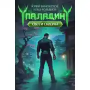 Постер книги Паладин. Свет и Скверна IV