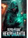 Илья Рэд - Первый шаг Некроманта. Том 6