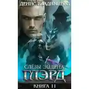 Постер книги Слезы Эйдена. Часть 1