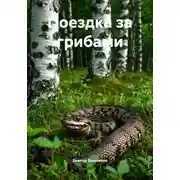 Постер книги Поездка за грибами
