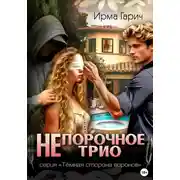 Постер книги НЕ порочное трио