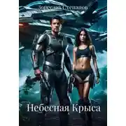 Постер книги Небесная Крыса