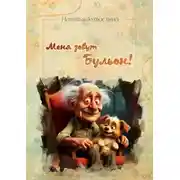 Постер книги Меня зовут Бульон!