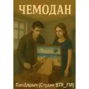 Постер книги Чемодан