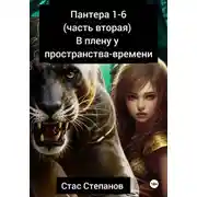 Постер книги Пантера 1-6. Часть вторая. В плену у пространства-времени