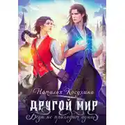 Постер книги Другой мир. Беда не приходит одна