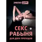 Постер книги Секс рабыня для двух преподов