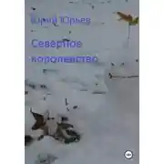 Постер книги Северное королевство